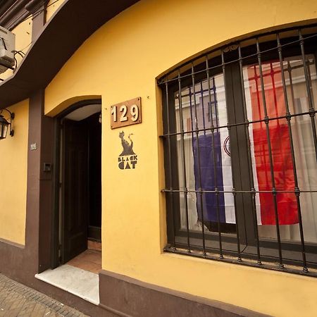 Black Cat Hostel Asuncion Exterior photo