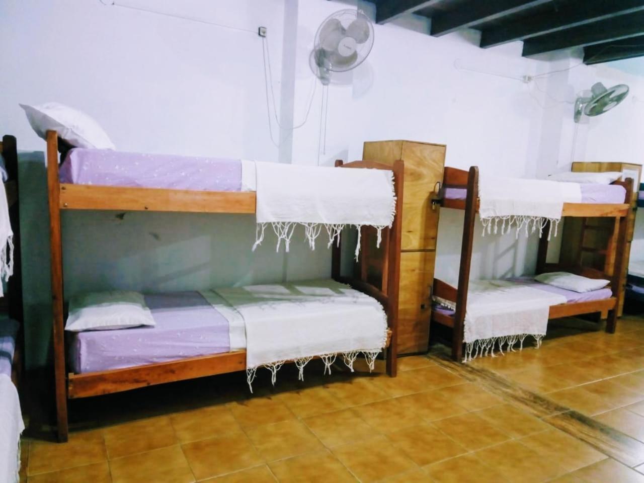 Black Cat Hostel Asuncion Exterior photo
