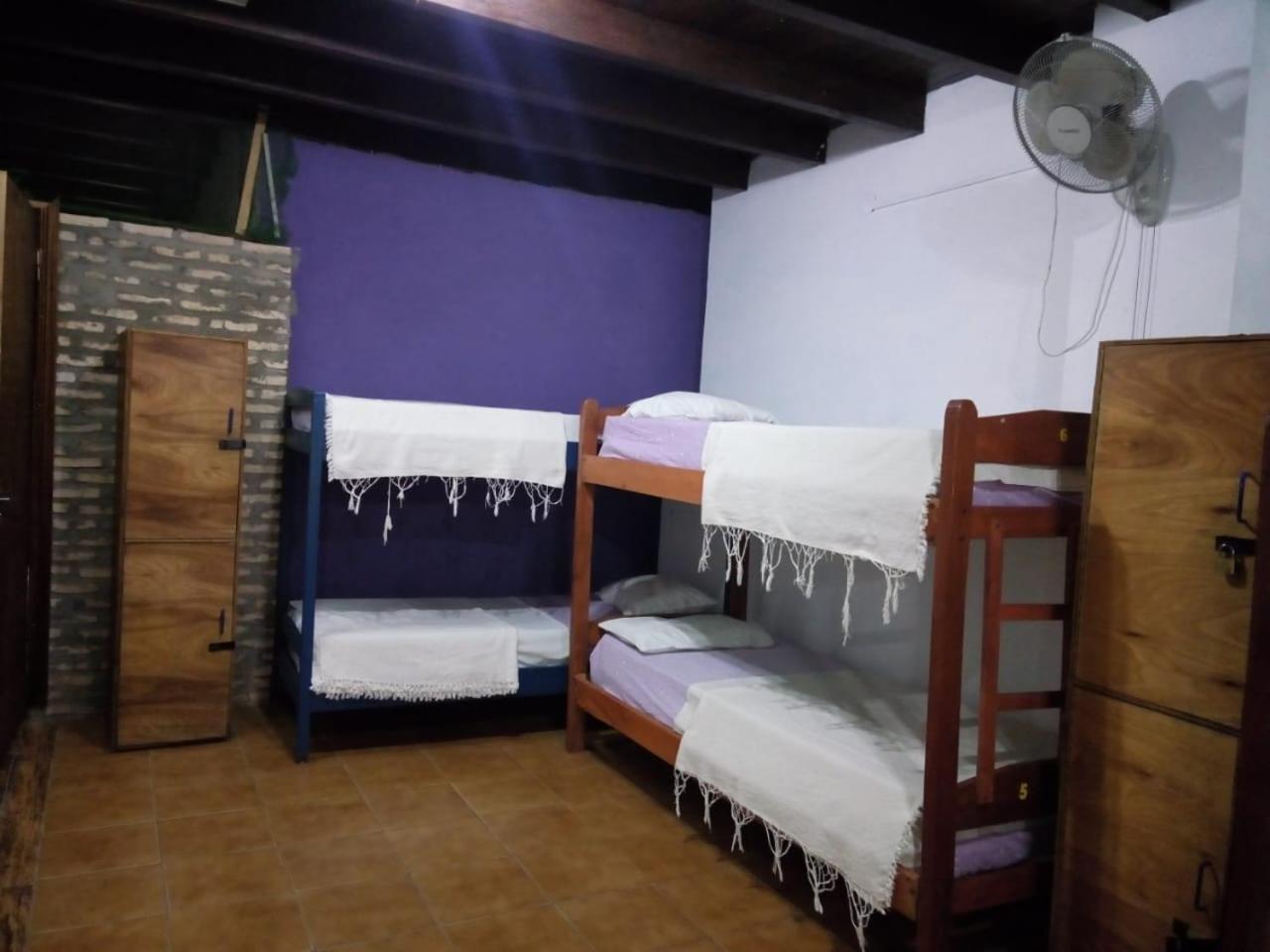 Black Cat Hostel Asuncion Exterior photo